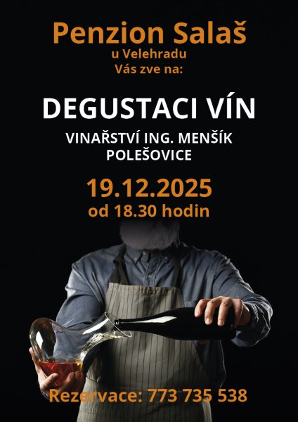 Degustace vín