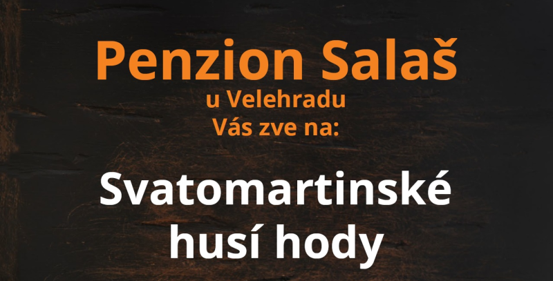 Svatomartinské husí hody