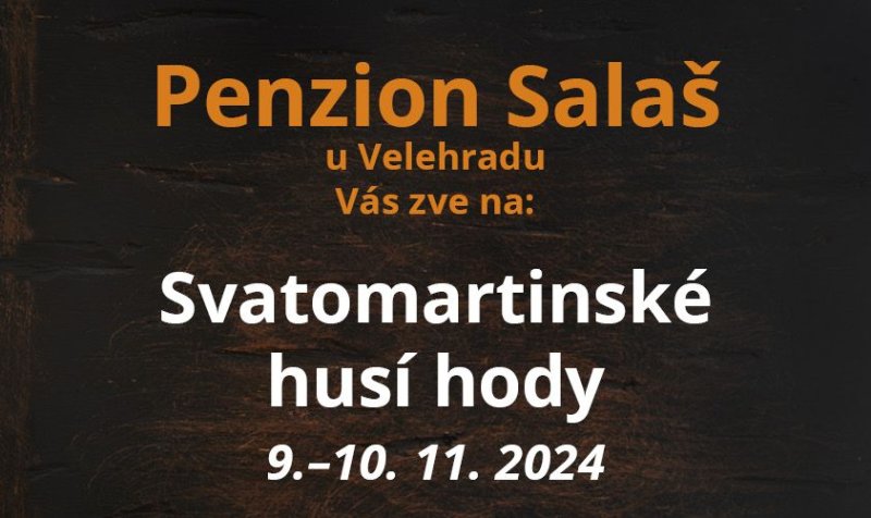 Svatomartinské husí hody